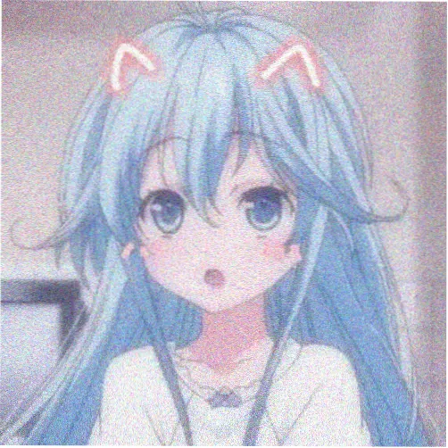 星野美咲